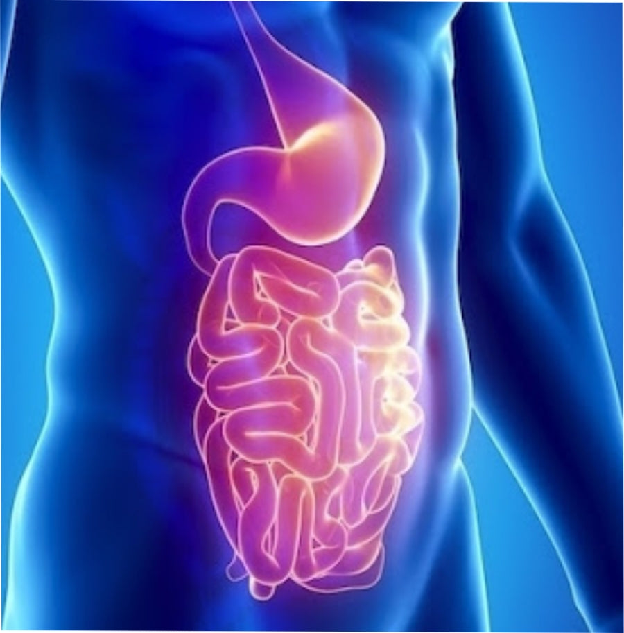 Glutamina Pura: Benefícios para a Saúde Além da Performance