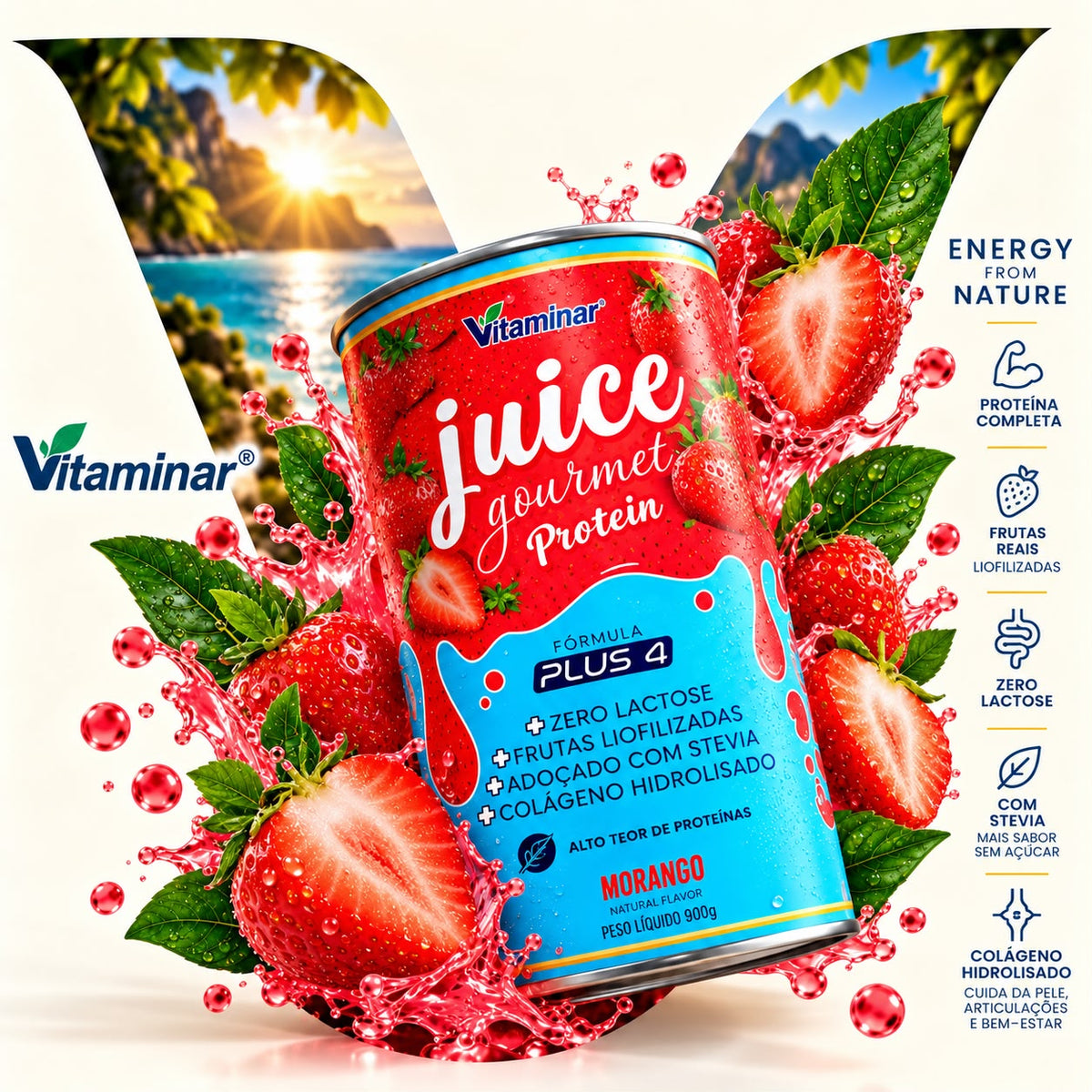 Juice Gourmet Protein Morango - Vitaminar (450gr) VITAMINAR